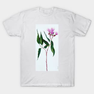 Elegance in Pink - Australian Gumnut Flower Stem T-Shirt